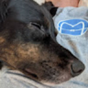 Meet your Posher, Peter t.